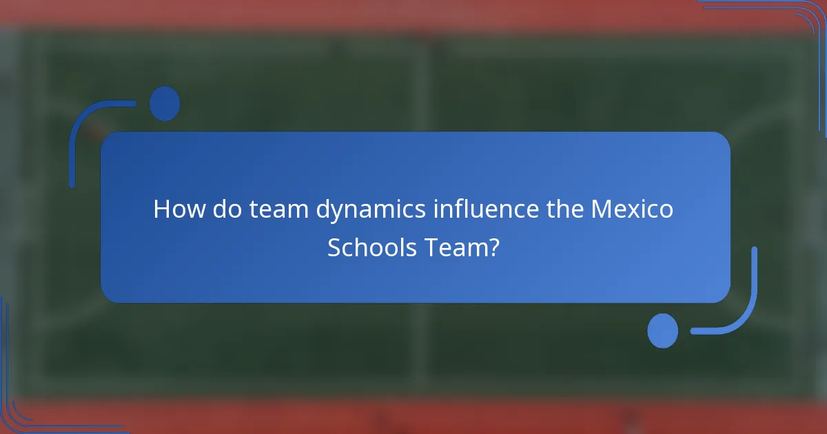 How do team dynamics influence the Mexico Schools Team?