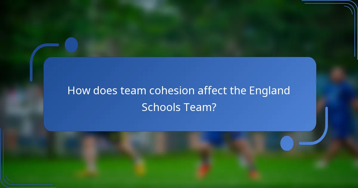 How does team cohesion affect the England Schools Team?