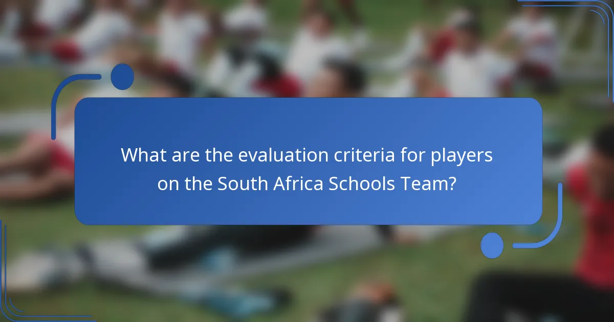 What are the evaluation criteria for players on the South Africa Schools Team?
