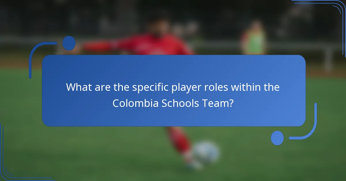 What are the specific player roles within the Colombia Schools Team?